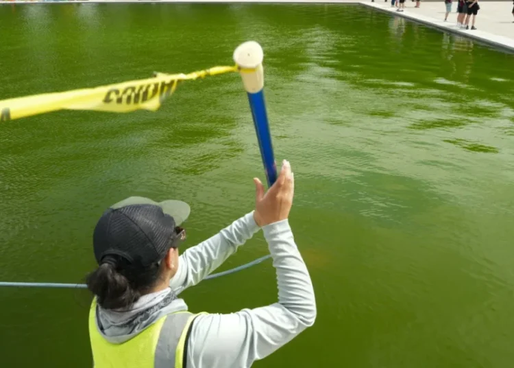 People react to workers pouring peroxide into the now bright green Reflecting Pool
