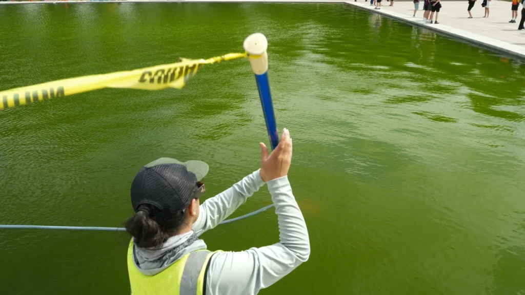 People react to workers pouring peroxide into the now bright green Reflecting Pool