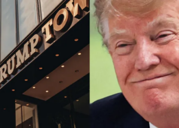 Buried evidence in Epstein files names Trump Tower as sex recruiter hunting ground