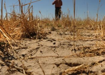 One of the most powerful El Niños on record cost the world economy $5.7 trillion. The 2026 cycle might be even stronger