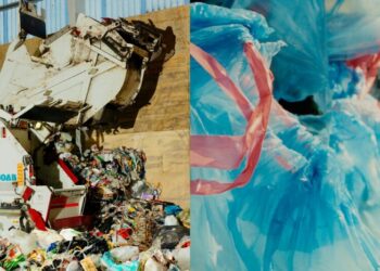 A Close-Up Look at the Waste of Modern Life
