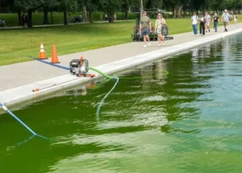 Peeling paint after Trump’s Reflecting Pool renovations leaves analysts aghast
