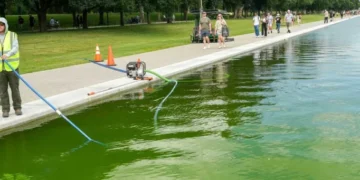 Peeling paint after Trump’s Reflecting Pool renovations leaves analysts aghast