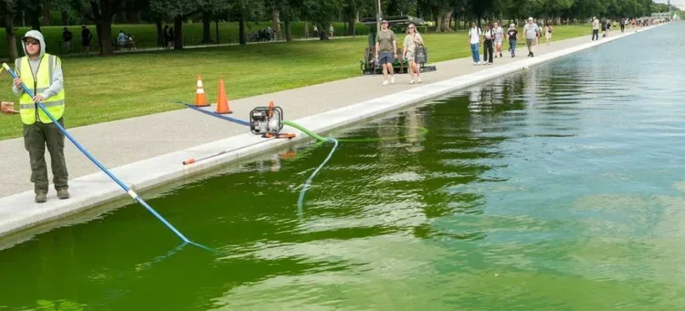 Peeling paint after Trump’s Reflecting Pool renovations leaves analysts aghast