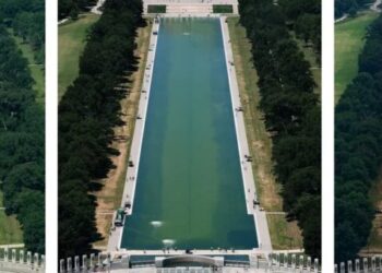 Trump’s bungled pool project gets vicious review from DC residents: ‘Feel for the ducks’