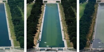 Trump’s bungled pool project gets vicious review from DC residents: ‘Feel for the ducks’