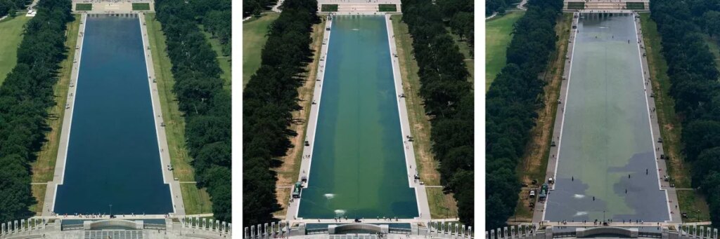 Trump’s bungled pool project gets vicious review from DC residents: ‘Feel for the ducks’
