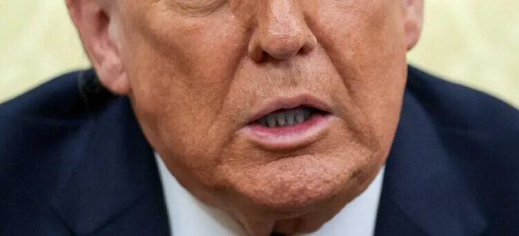 White House staff rummaged in Trump’s trash because he was throwing out silverware: report