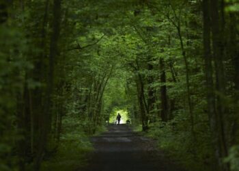 Why Adventure Matters