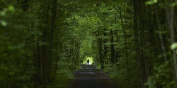Why Adventure Matters