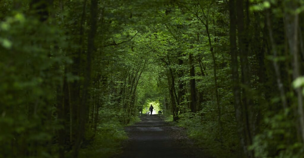 Why Adventure Matters