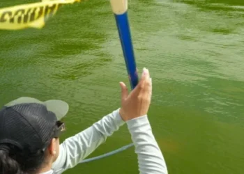 Olympian arrested for touching remnants of decaying Reflecting Pool: report