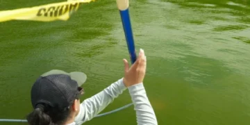 Olympian arrested for touching remnants of decaying Reflecting Pool: report