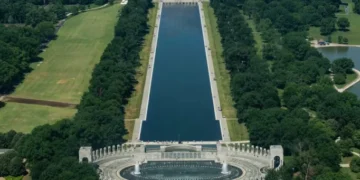 Trump lets loose new details on Reflecting Pool damage: ‘Many people have been arrested’
