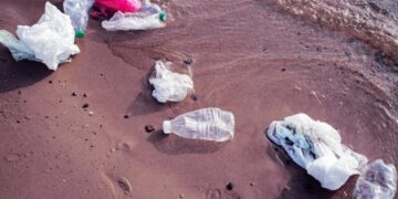 Volunteer Under Investigation for Cleaning Polluted River Without a License, Faces Two Years in Prison