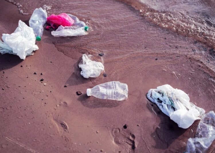 Volunteer Under Investigation for Cleaning Polluted River Without a License, Faces Two Years in Prison