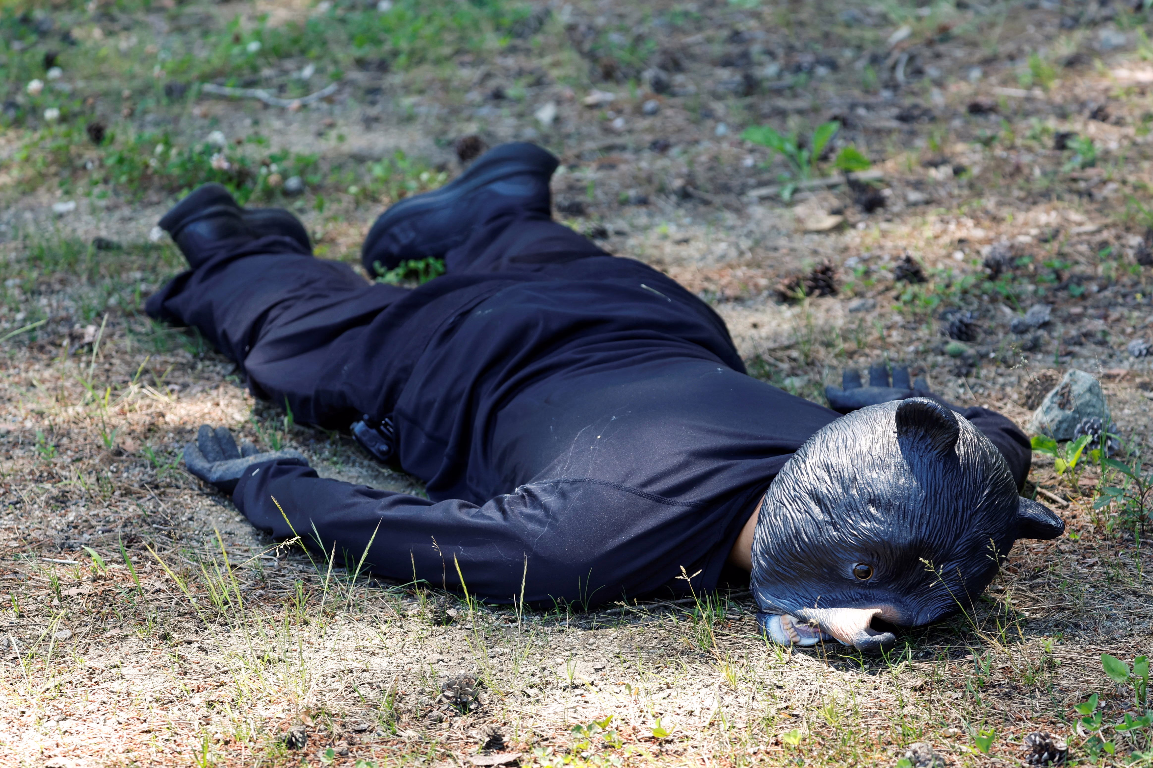 A man in a bear mask and dark clothing lies face-down on the ground, playing dead.