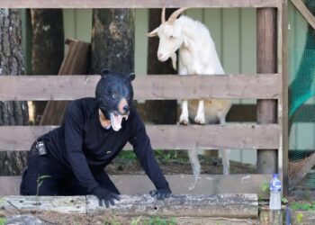Photos: A Bear Emergency Response Drill in Japan