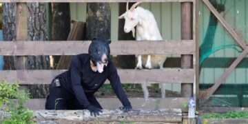 Photos: A Bear Emergency Response Drill in Japan
