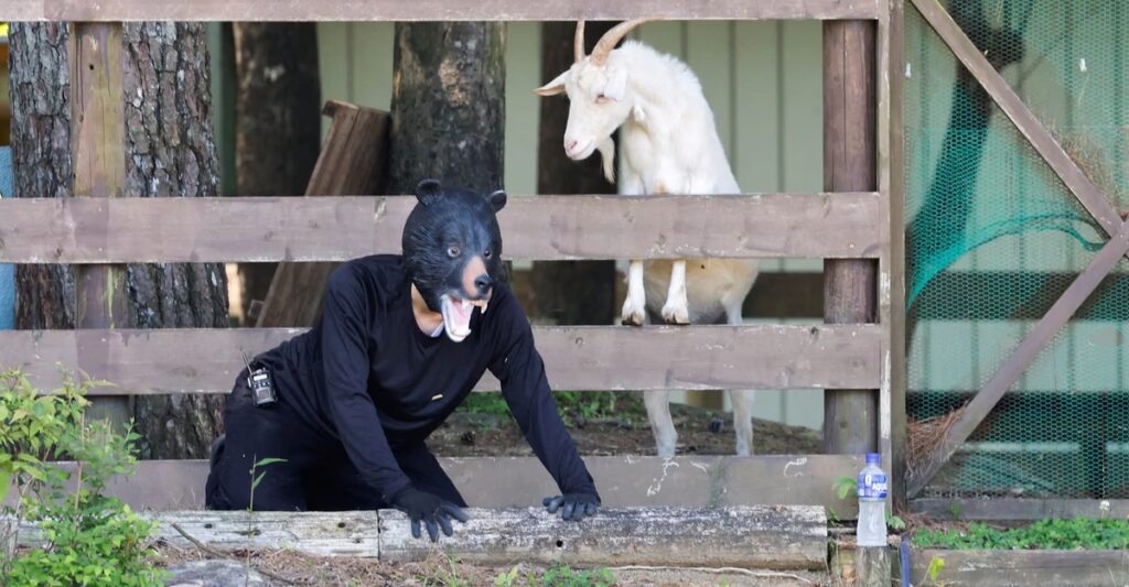 Photos: A Bear Emergency Response Drill in Japan