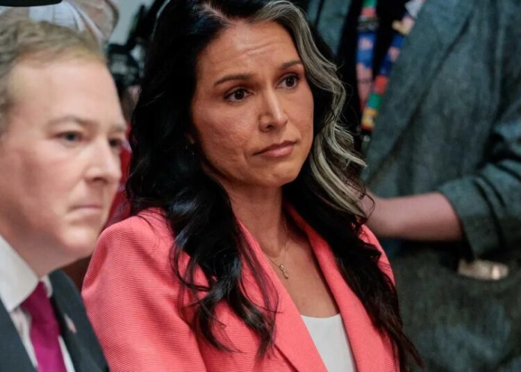 Tulsi Gabbard’s rise to power potentially guided by ‘controlling cult’ leader: report