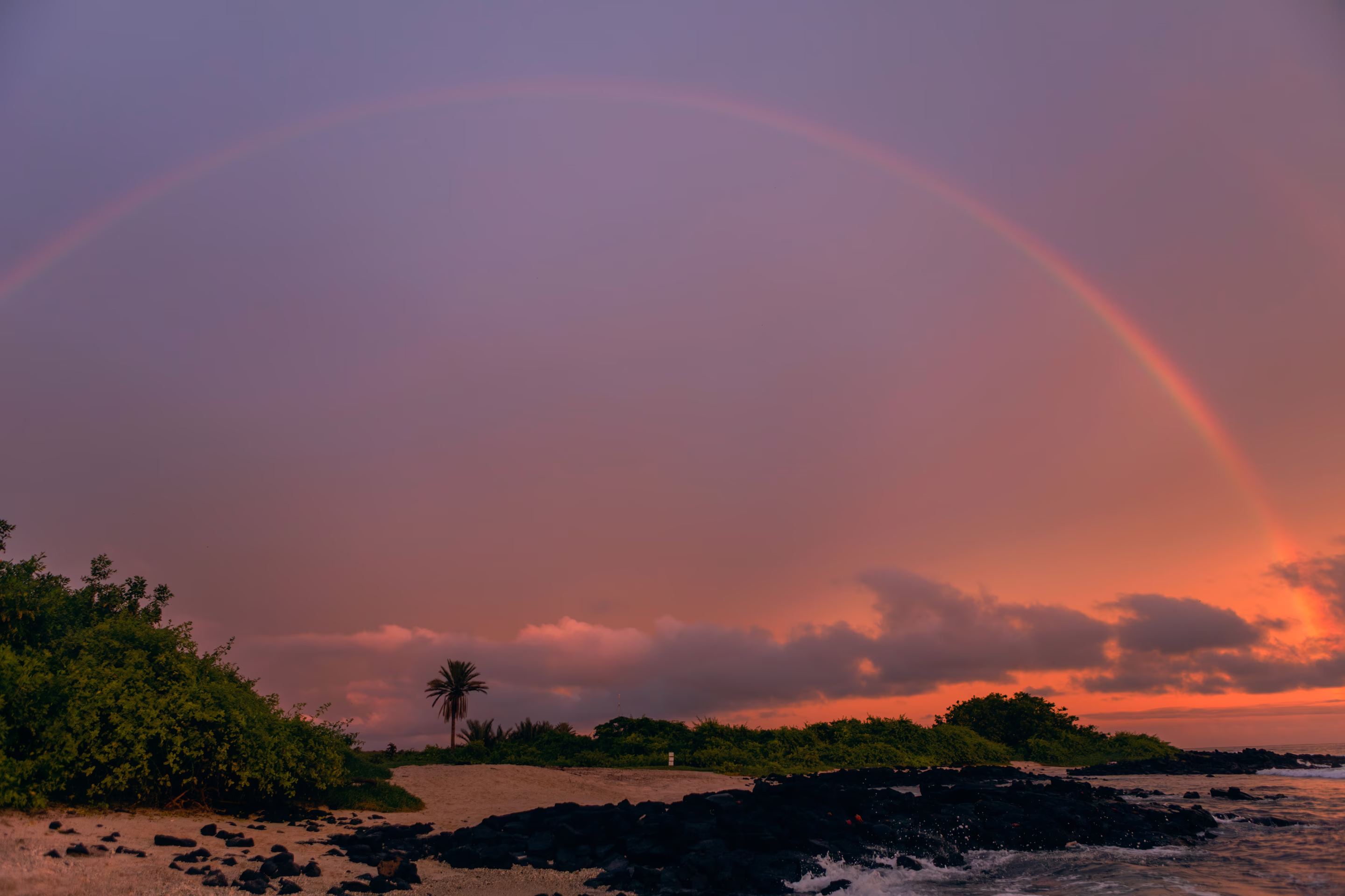 photo of purple and pink sunset at shoreline