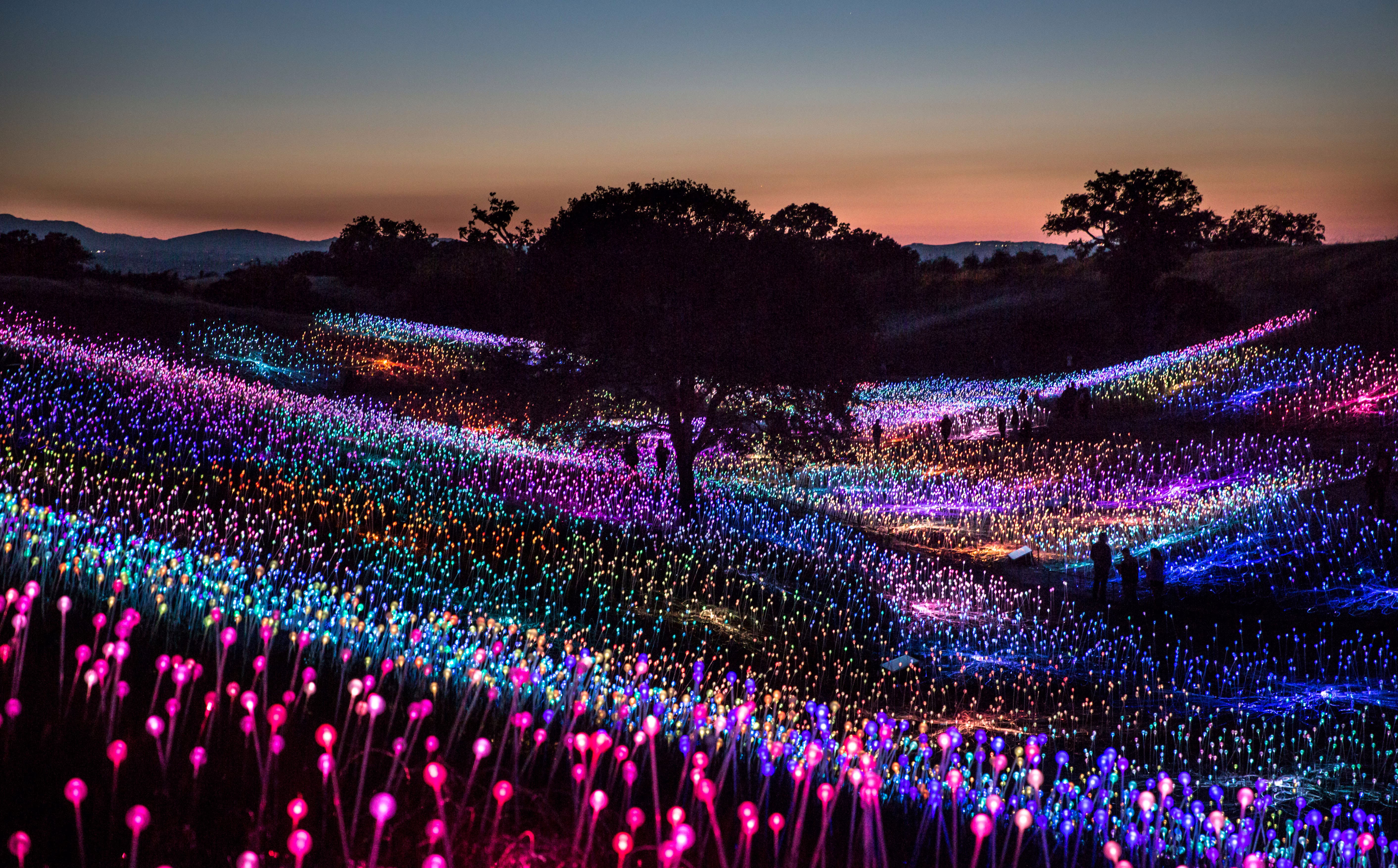 Thousands of colorful fiber-optic spheres cover a rolling hillside in the evening.