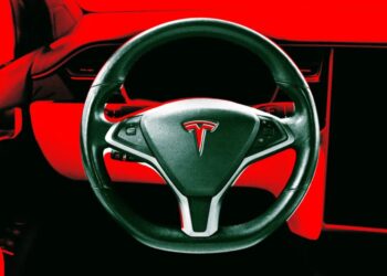 Beloved Grandmother Was Standing in Her Own House When a Tesla, Allegedly on Autopilot, Smashed Through the Wall and Killed Her in Grandchildren’s Playroom