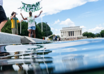 CNN reporter surprises himself with development in Trump’s algae-filled Reflecting Pool