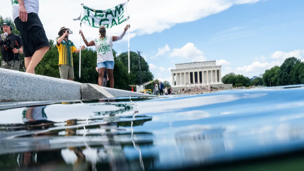 CNN reporter surprises himself with development in Trump’s algae-filled Reflecting Pool