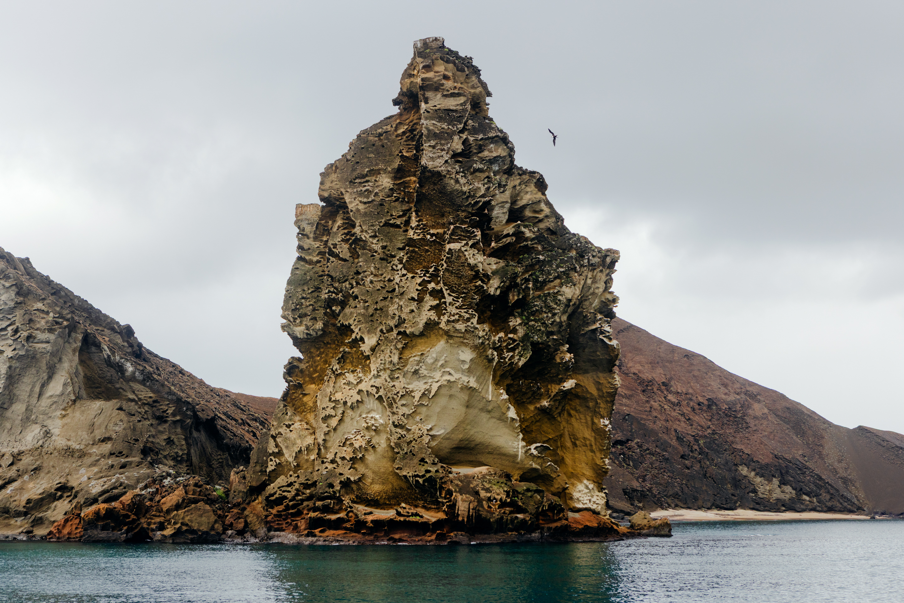 photo of large rock tower jutting from hilly shoreline with gray sky and bird
