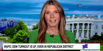 ‘They are fed up’: Nicolle Wallace details enthusiasm collapse befalling the GOP