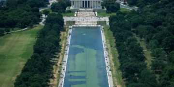 Trump has taken his destruction to ‘another scale’ as he turns DC into ‘swamp’: expert