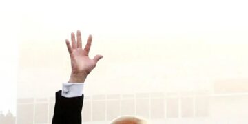 ‘Politically awkward dynamic’ pits White House official against Trump’s own interests
