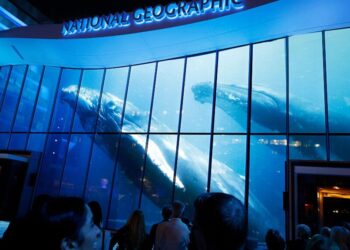 How the Reimagined National Geographic Museum Hopes to Inspire a New Generation of Conservationists