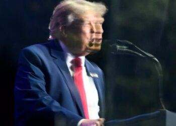 The Chaotic President