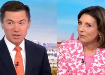 Giddy conservative’s claim debunked to his face on CNN: ‘They conflate everything’