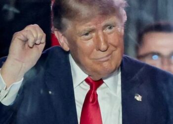 Trump ‘doesn’t realize’ he ‘just handed’ Dems a superweapon: expert
