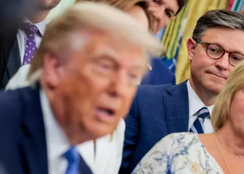 Mike Johnson seethed with ‘anger’ as Trump blew up GOP midterm lifeline: report