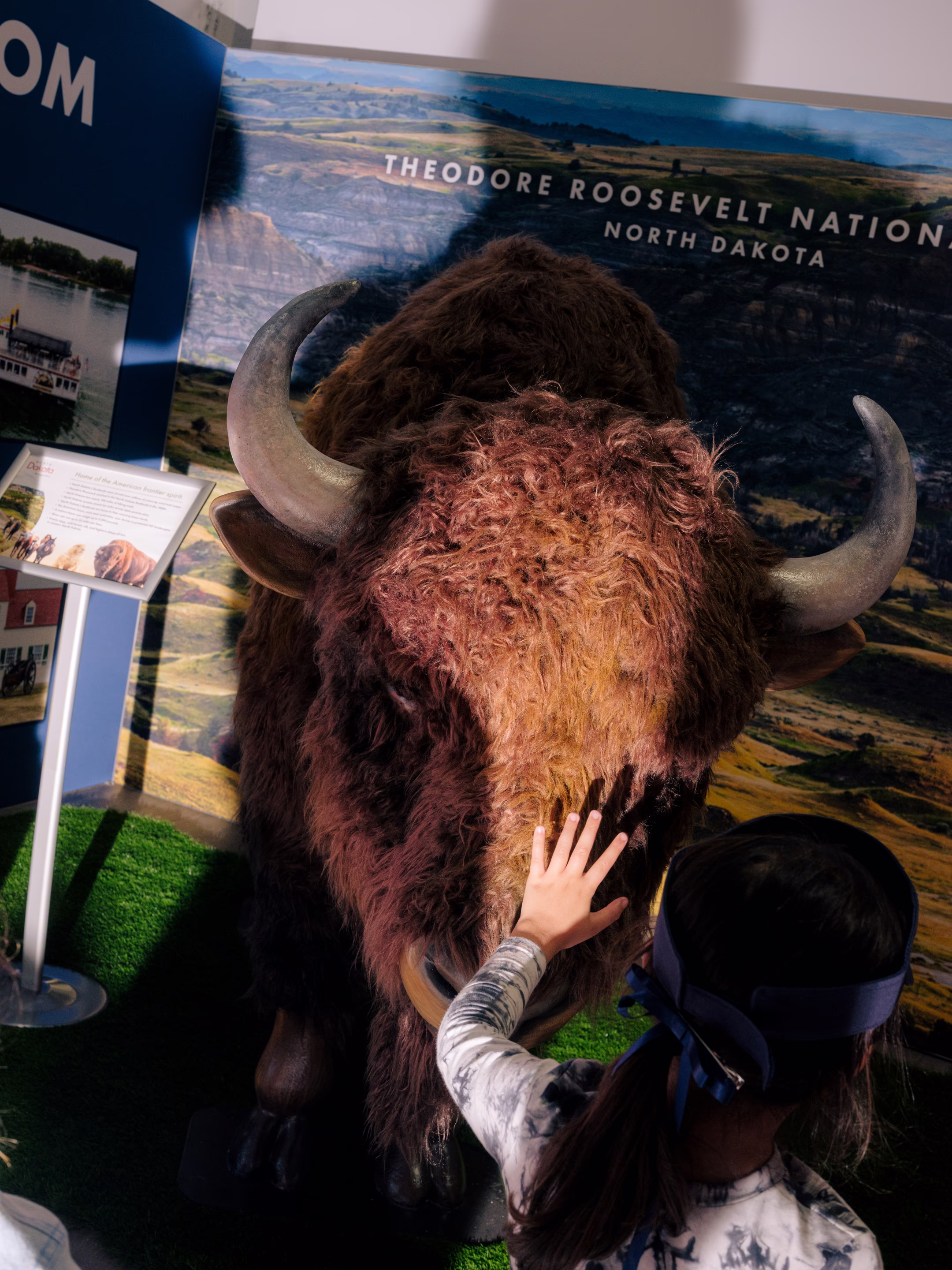 a girl touches a buffalo display