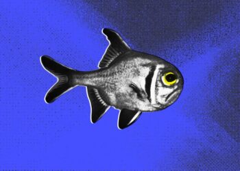 Light Pollution is Causing Fish to Live Miserable, Bitter Lives, Researchers Find
