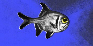 Light Pollution is Causing Fish to Live Miserable, Bitter Lives, Researchers Find