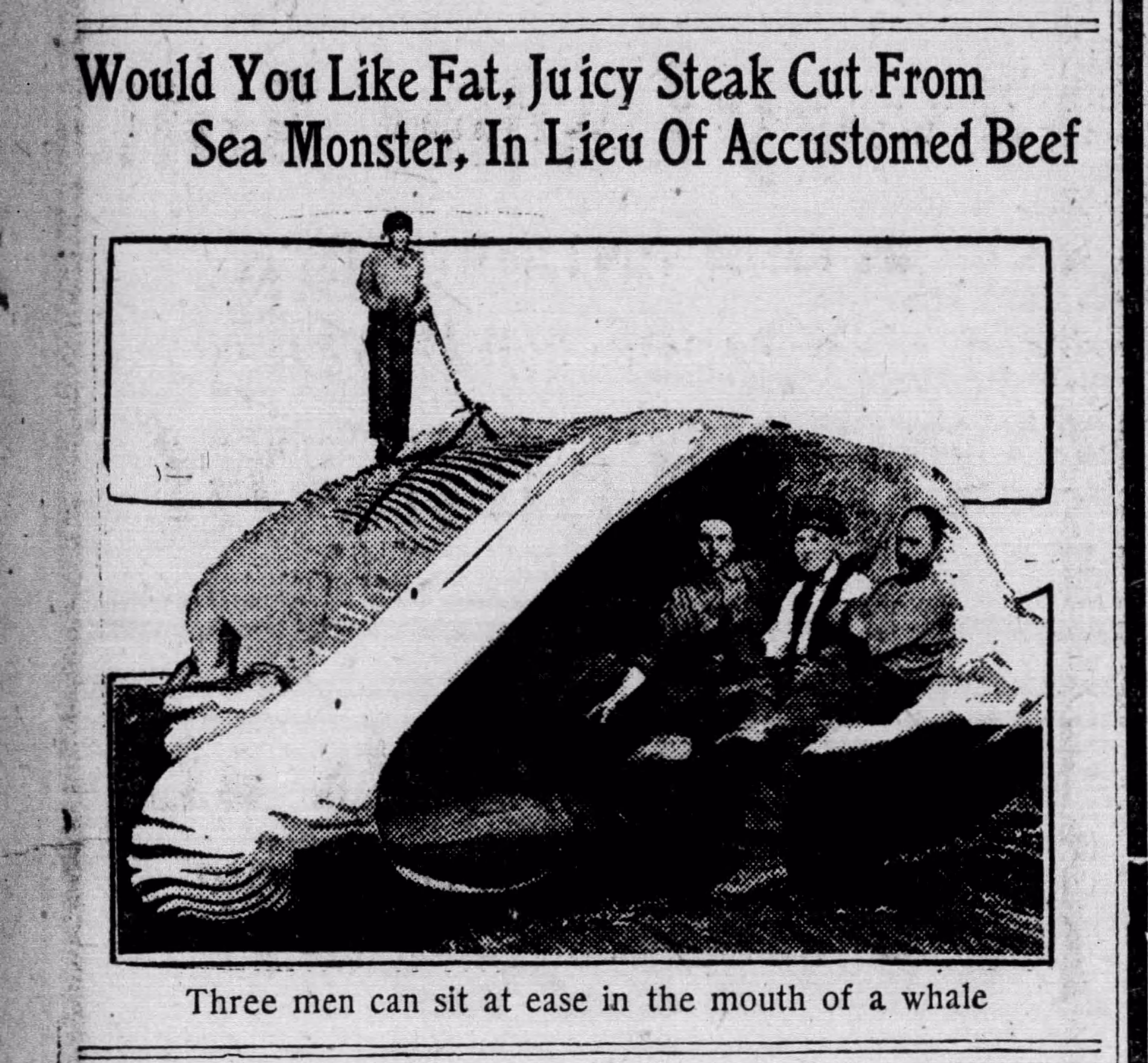 The Knoxville Sentinel.jpg