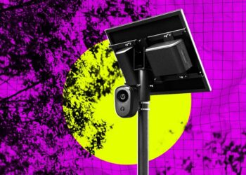 Woman Surprised When Flock Surveillance Tower Appears in Her Yard Without Warning