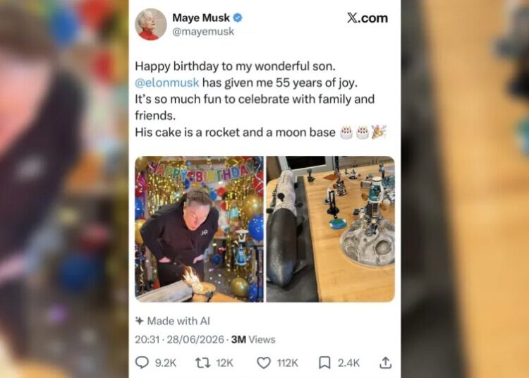 Elon Musk’s Mother Posts Happy Birthday Image for Him That, on Closer Inspection, Is Devastatingly Sad