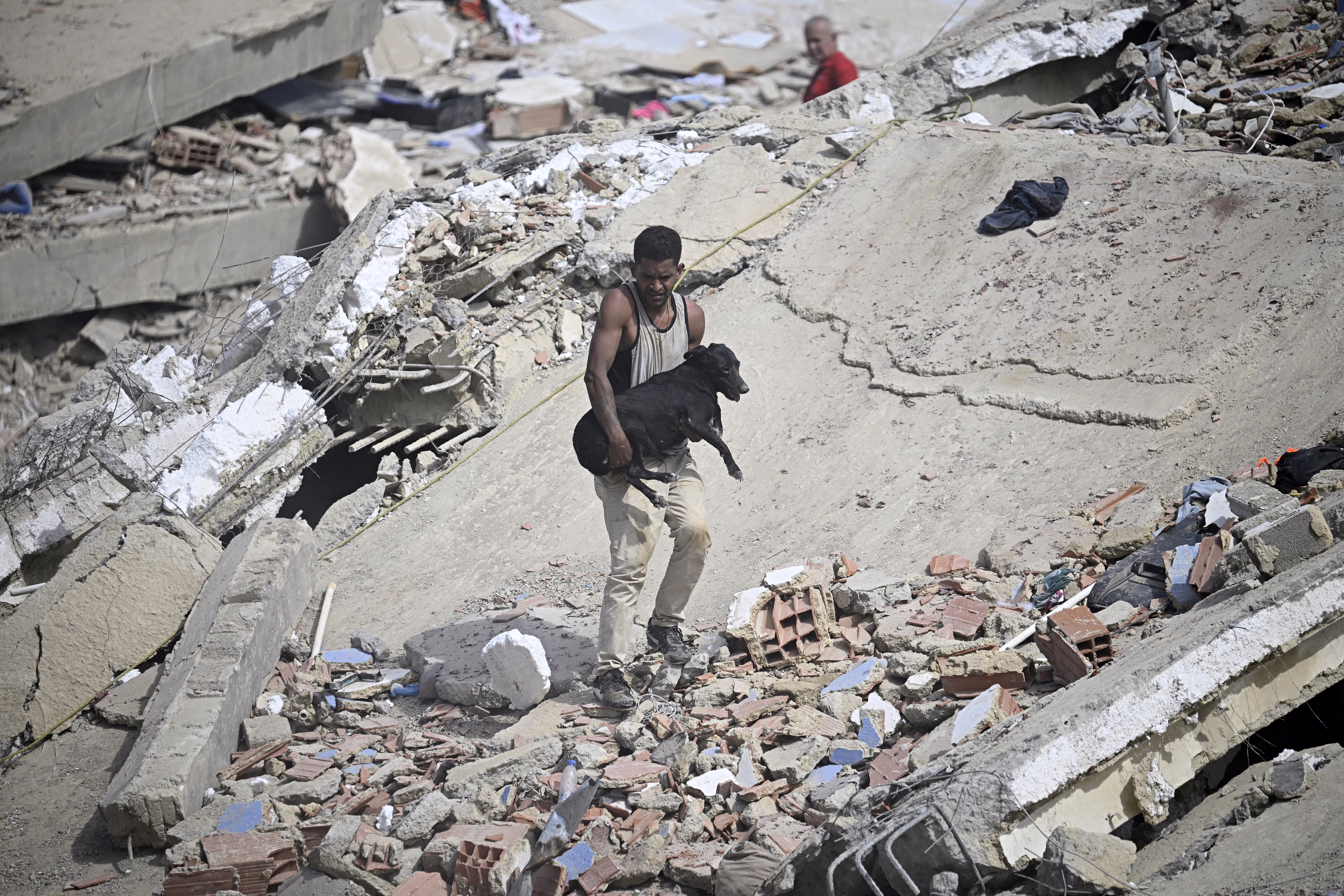 A volunteer carries a rescued dog across the rubble of a collapsed building.