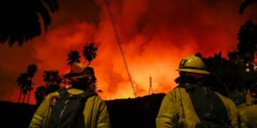Grim New Prediction Market Lets Gamblers Bet on Raging Wildfires