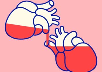The organ donation boom complicating the boundary between life and death