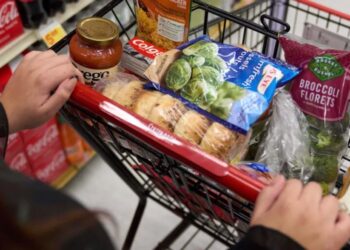 Arkansas defies federal court to launch SNAP candy-and-soda ban Wednesday