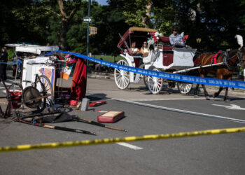 Horse Carriage Overturns in Central Park, Critically Injuring Man